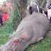 AGIZO LA WAZIRI LA SABABISHA KIBOKO KUSHUGULIKIWA.