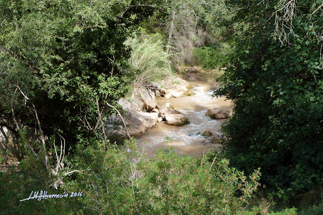 El río Turia tras las lluvias