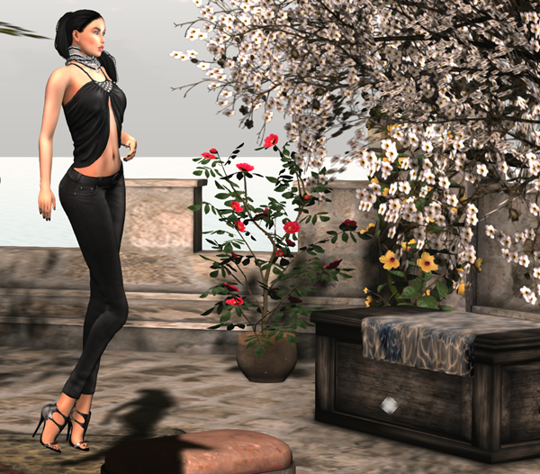 Snapshot_011