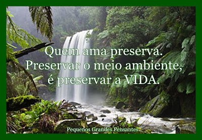 Projeto Meio Ambiente