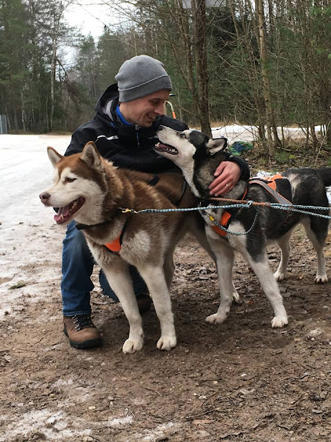 Dog Sledding Discover Latvia Tours Riga Latvia