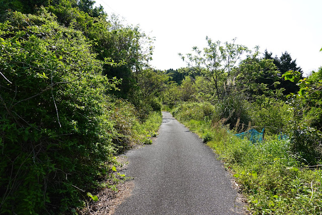 東郷湖一周ウォーキングコース