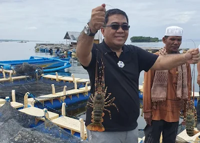 Kadin Dukung Lombok Jadi Pusat Budidaya Lobster