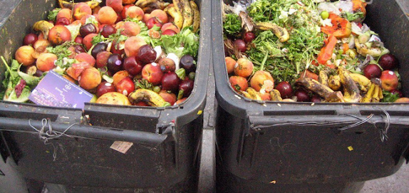 Cách ủ phân hữu cơ từ rác bếp