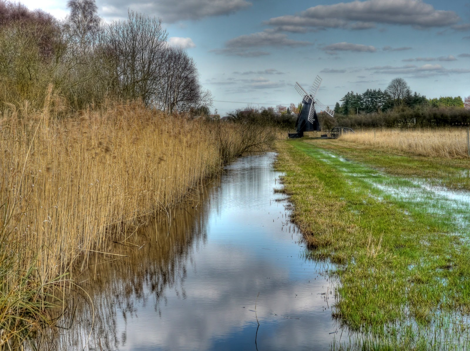P1060145_46_47_48_49_50_tonemapped.jpg