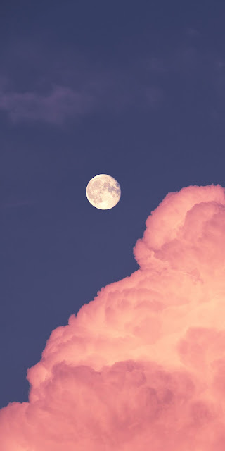 Full moon in the pink sky