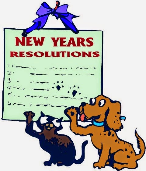 New Year Resolution 2015