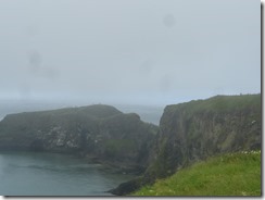Cliffs at Carrick-a-Rede Rope Bridge