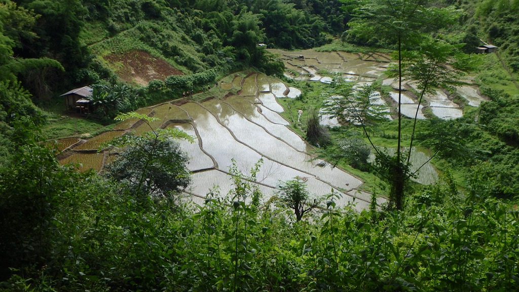 P7192080