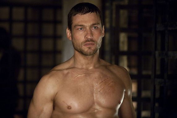 andy whitfield cancer