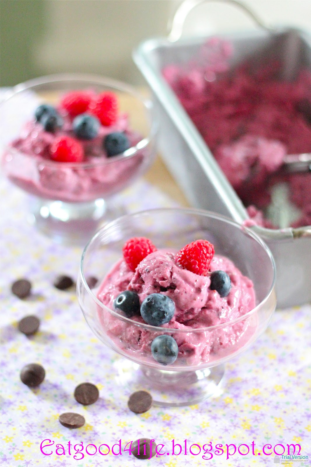 5 Minute Mixed Berry And Dark Chocolate Greek Frozen Yogurt