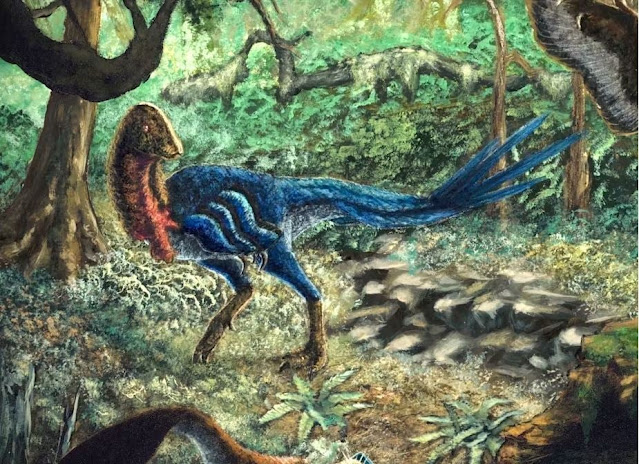 Το «κοτόπουλο από την κόλαση»: Ανακαλύφθηκε άγνωστος δεινόσαυρος που ξαναγράφει την ιστορία