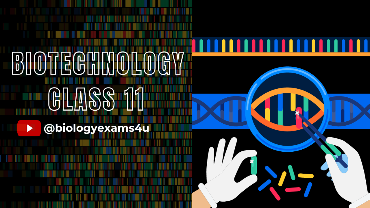 Quantitative Biology and Bioinformatics | Class 11 Biotechnology