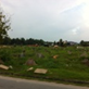 View album
