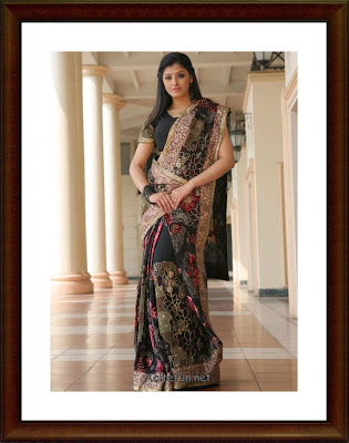 Beautiful Indian Cotton summer Sarees