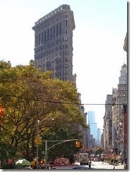 IMG_1959