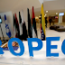OPEC+ plans major oil production cut despite US pressure
