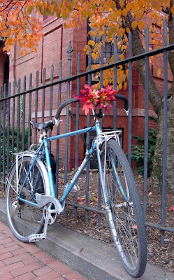 autumn leaves bike