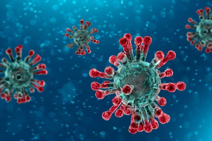 Virus Corona (Cara Penularan, Tanda-Tanda, Pencegahan Dan Upaya Terapi
Atau Pengobatan)