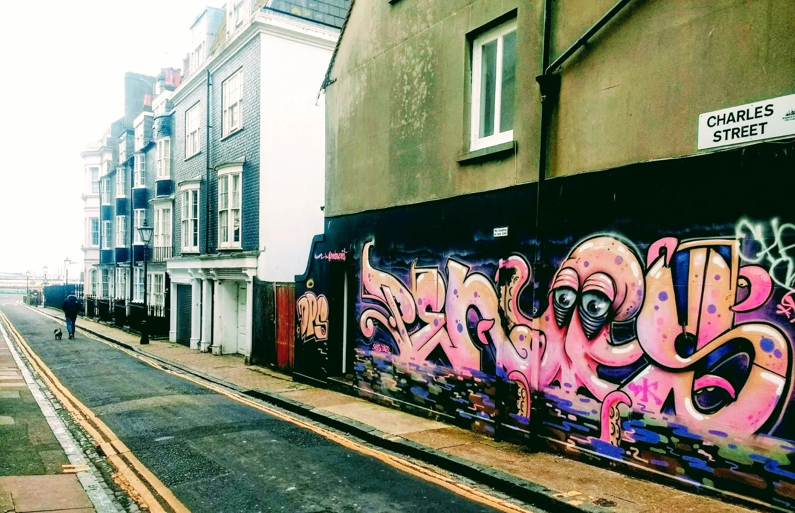 Pink Squid Street Art In Brighton