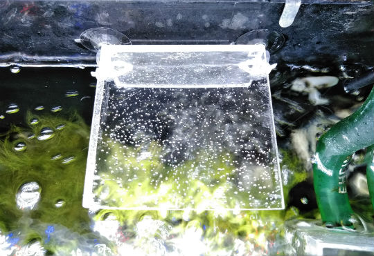 もう飛び出さない 夏対策で冷却ファン付き水槽の蓋を自作してみた 主夫の綴るブログ アクアリウム情報発信ブログ 晴耕雨読