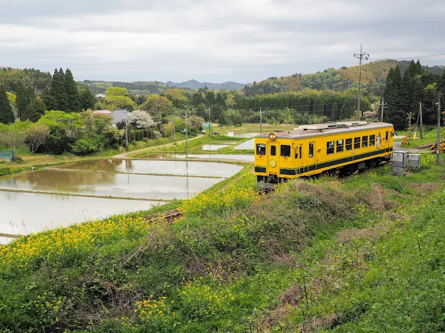 いすみ鉄道　戸越踏切