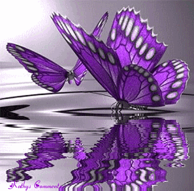 Purple Butterfly Pictures |Funny Pictures|Amazing Wallpapers|Fantasy 