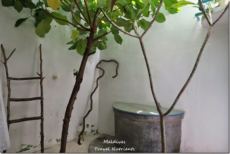 馬爾地夫居民島Mahibadhoo- Amazing Guesthouse (22)