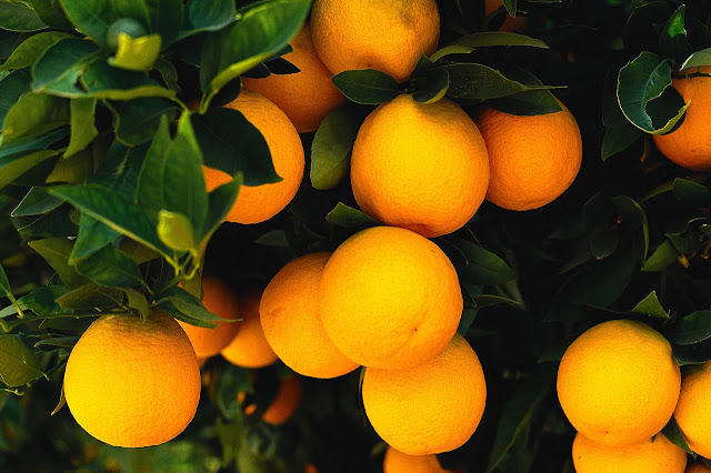 soñar-con-naranjas-significado