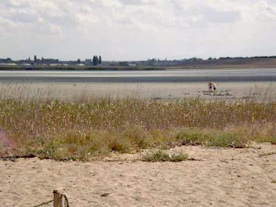 Село Фрунзе в Крыму