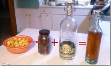 03181113 Vodquat Recipe