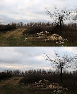 Trimming the tree down