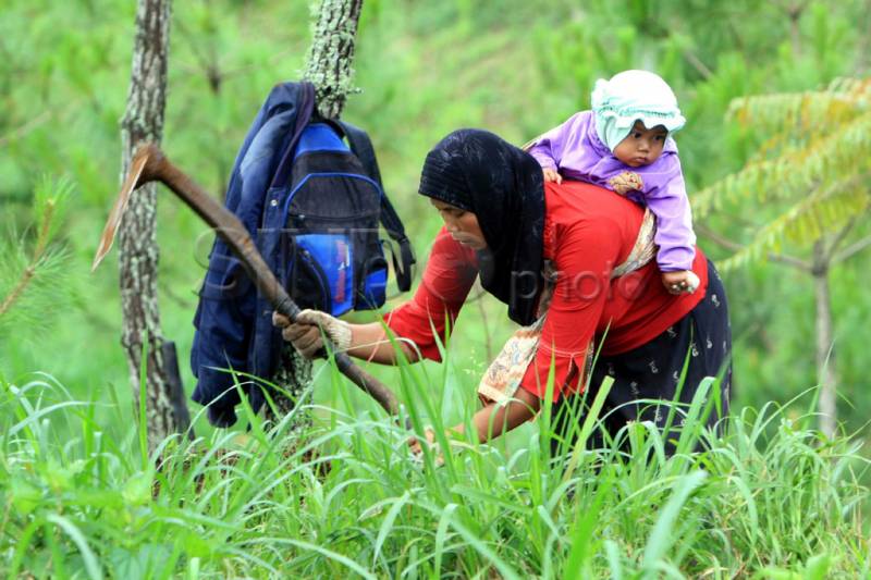 Meniti jalan: Kajian : "Surga di bawah telapak kaki Ibu"