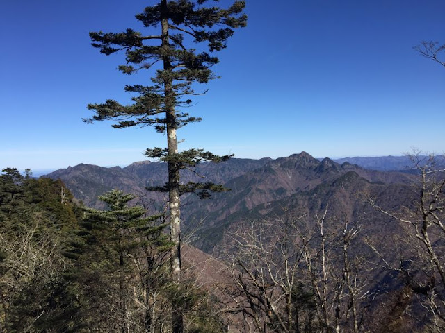 大峰山の稜線