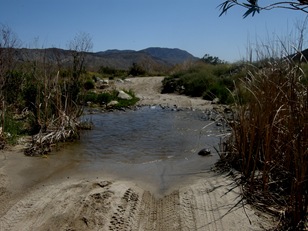 Coyote Canyon (25)