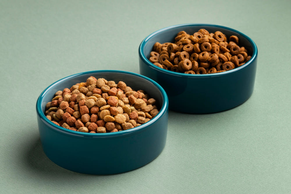 Which Dog Food is the Best