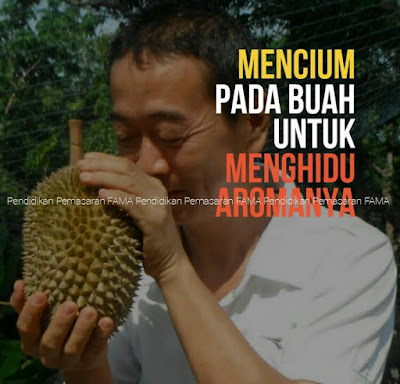 Cium Aroma Durian