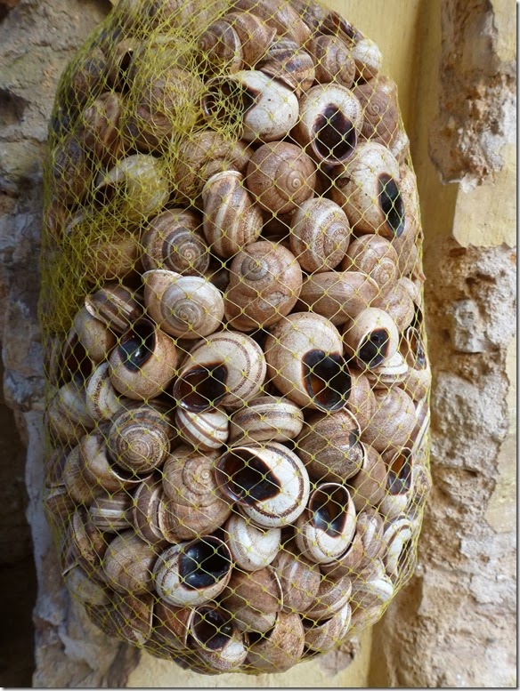P1140869