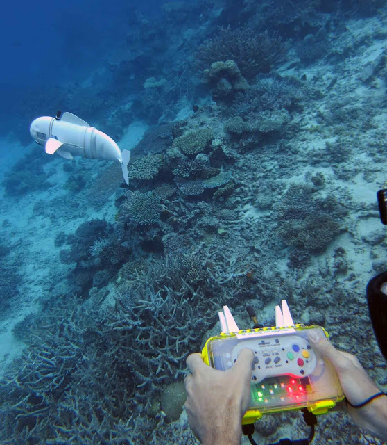 underwater robot fish sofi, underwater robot