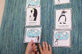 Types of Penguins 3 Part Cards with Habitat Map