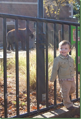 zoo trip 084
