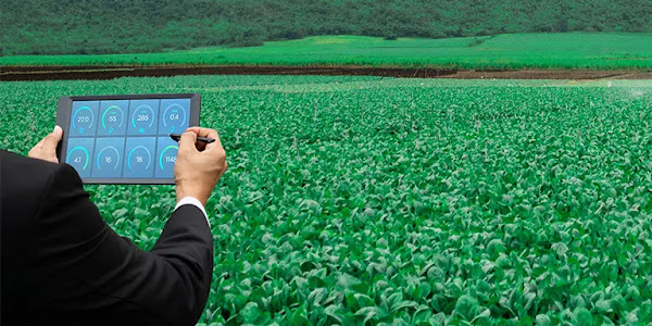 Revitalisasi Petani - Peran Teknologi Pertanian Terkini