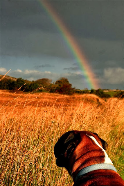 rainbow day in Connemara© Annie Japaud 2013, nature photography, landscapes, Connemara, Ireland, rainbows, 