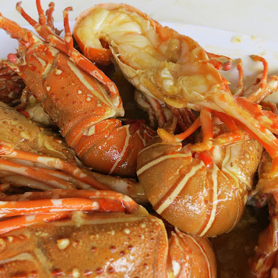 Lobsters Sungai Rengit Pengerang Johor