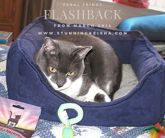 Feral Friday Flashback: Who's a Winner?