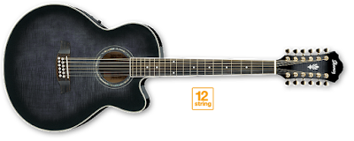 Gitar Akustik Ibanez AEL2012E 12 Senar