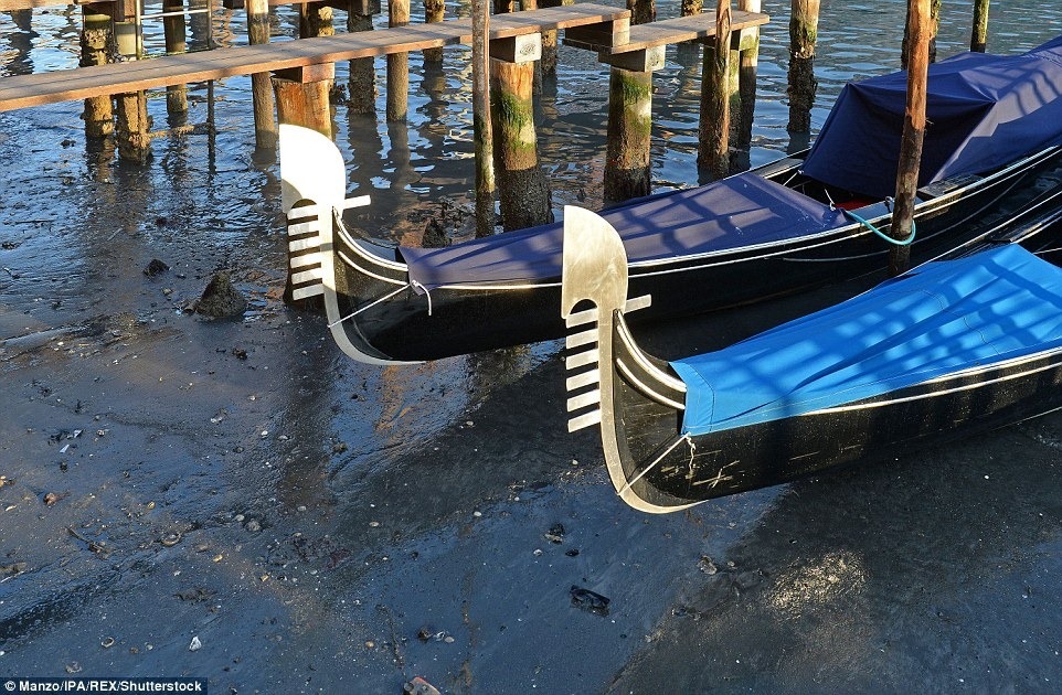 venice-low-tide-5