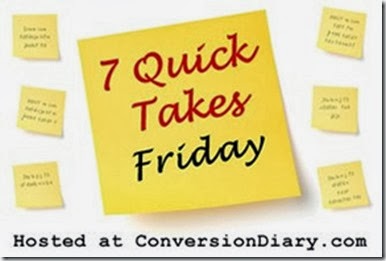 7_quick_takes_sm1