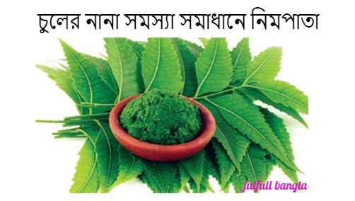 চুলের যত্ন