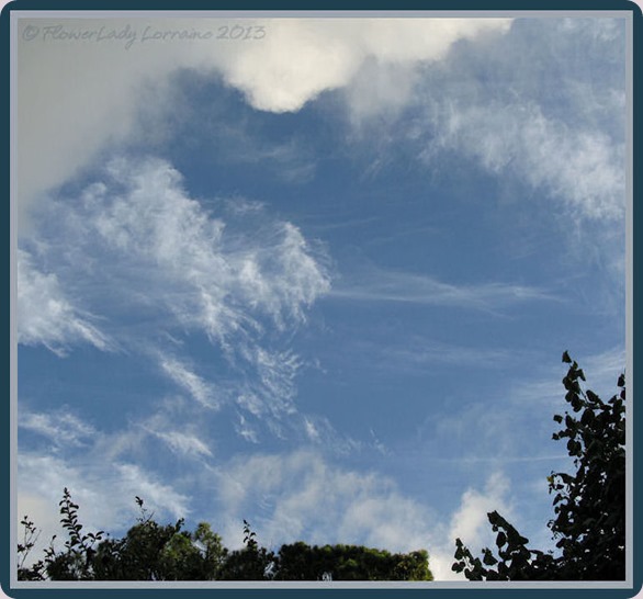 06-01-morning7